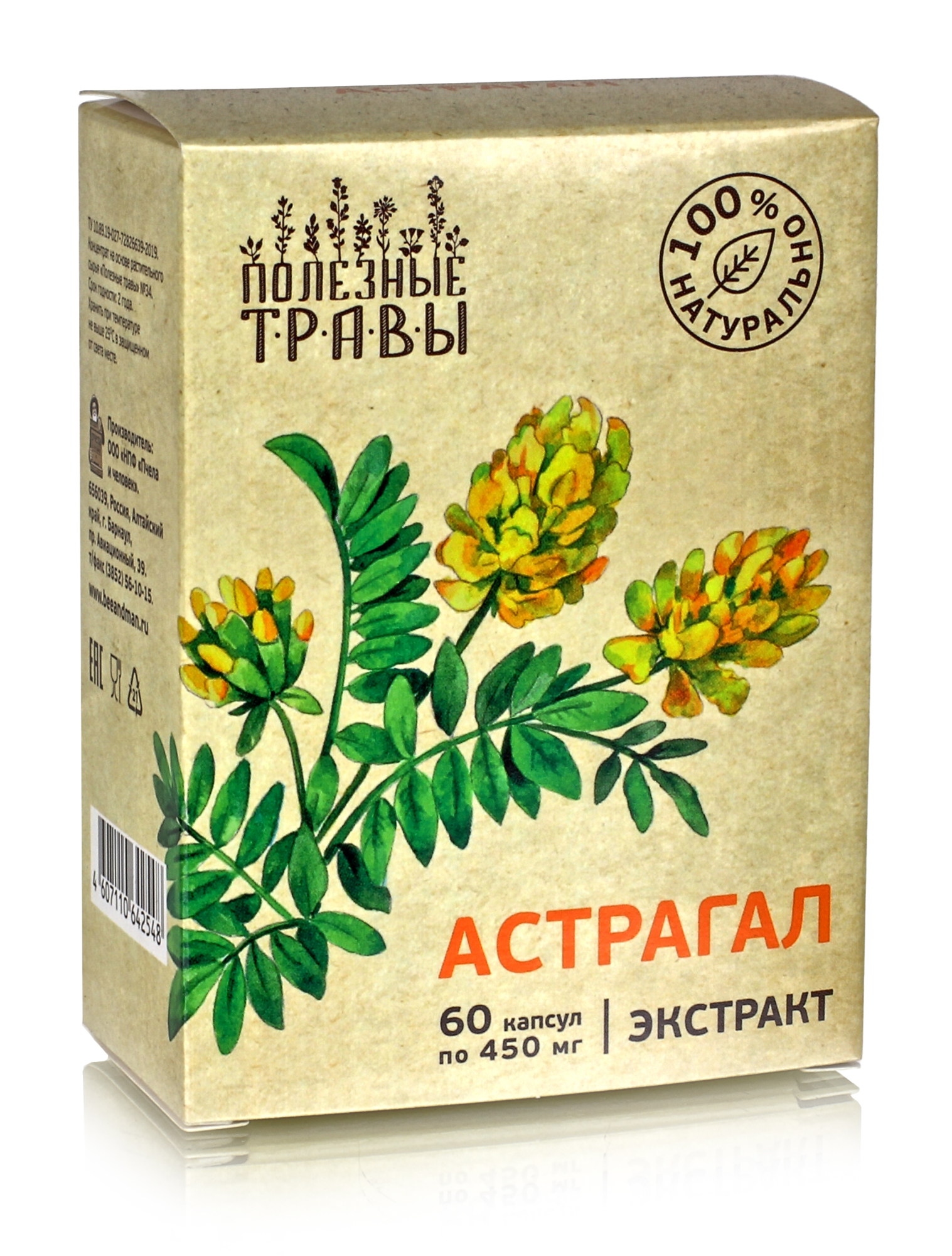 Астрагал Перепончатый Лечебные Свойства Цена