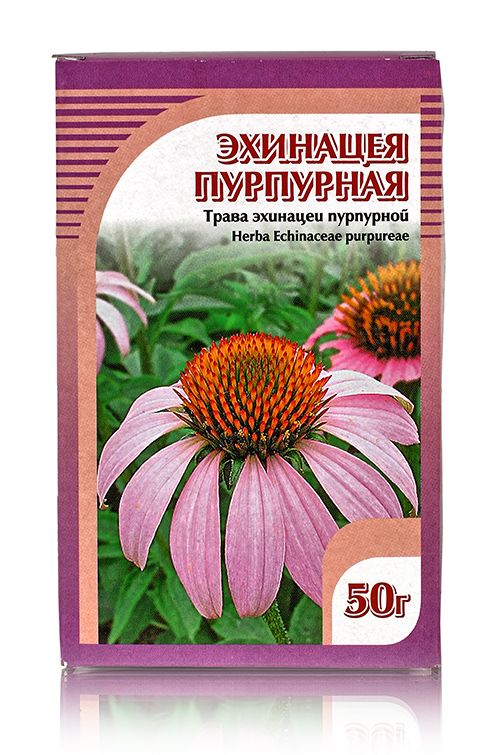 Эхинацея пурпурная,трава 50гр. Хорст