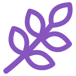 Более 311 видов трав и корней